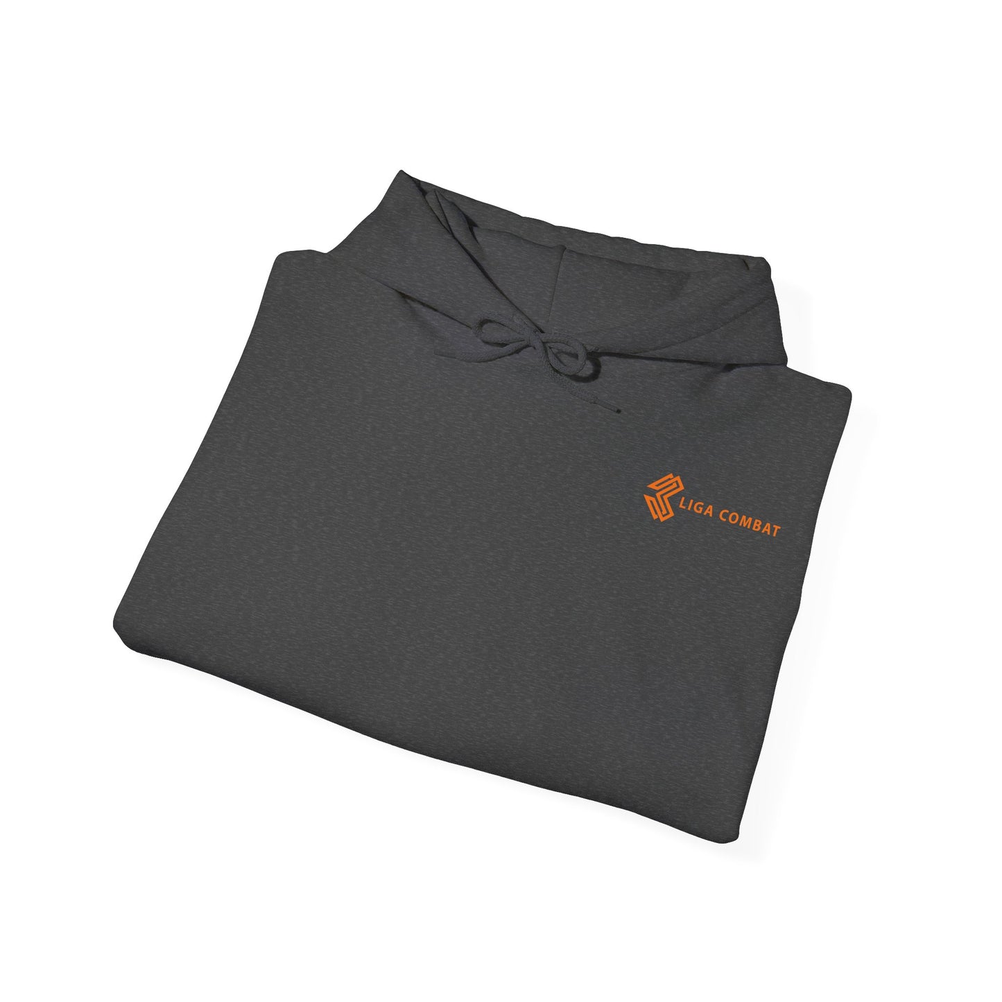 Dual Spirit Urban Hoodie